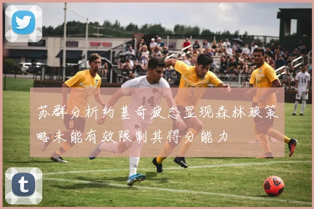 苏群分析约基奇疲态显现森林狼策略未能有效限制其得分能力
