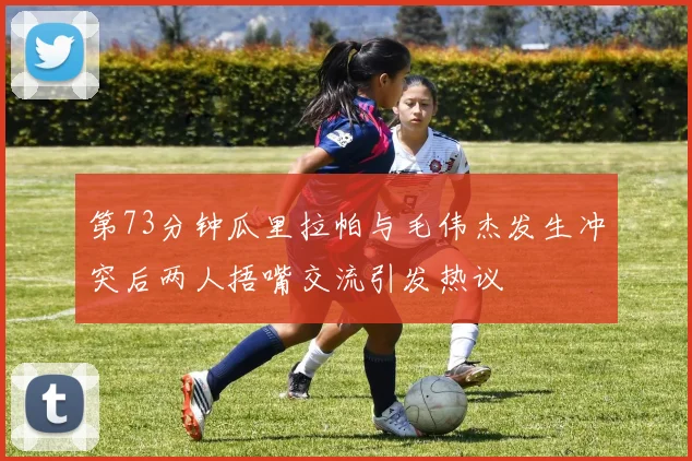 第73分钟瓜里拉帕与毛伟杰发生冲突后两人捂嘴交流引发热议